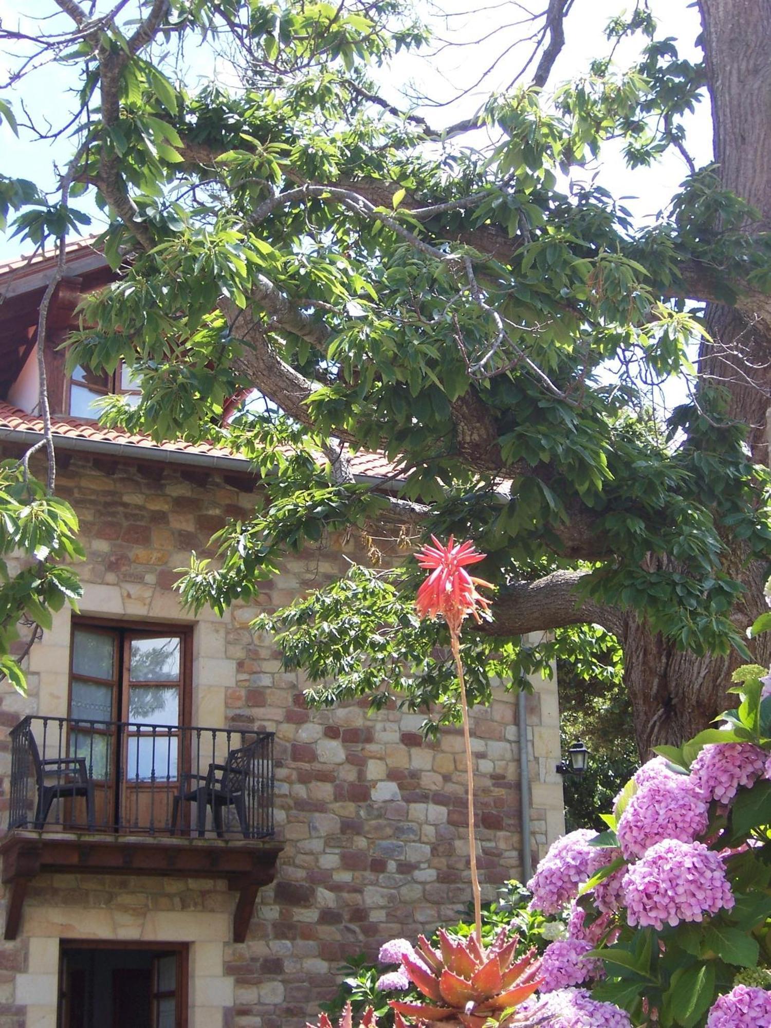 Posada Fuentedevilla Pechón Esterno foto
